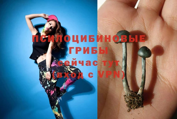 молекула духа Абинск