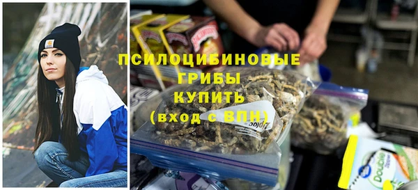 молекула духа Абинск