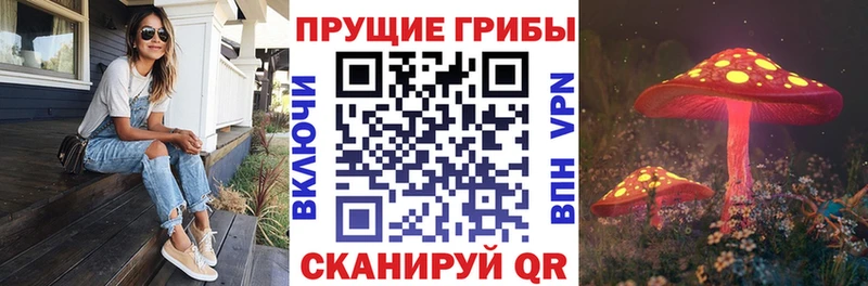 Псилоцибиновые грибы Cubensis  kraken вход  Туран 